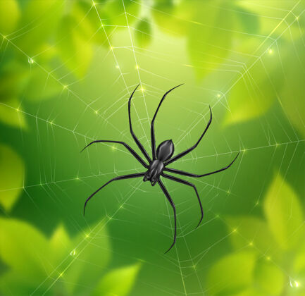 现实蜘蛛网上现实的插图蜘蛛模糊自然