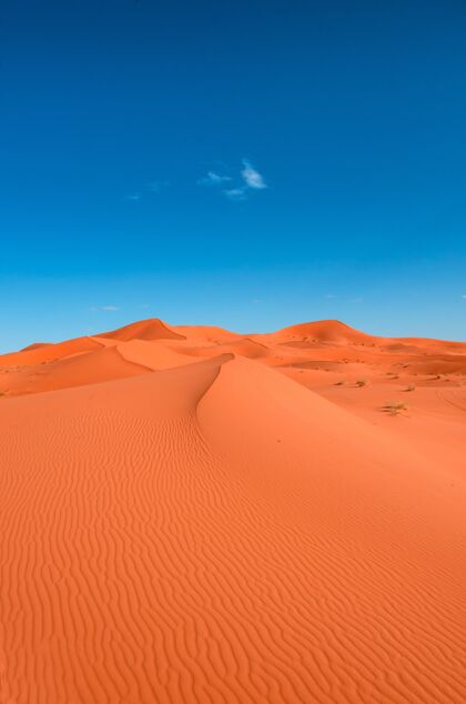 光在蓝天映衬下的橙色沙丘景观的垂直图像沙丘干燥炎热