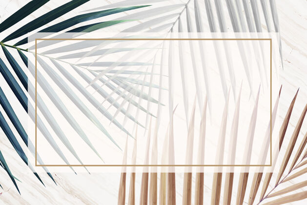 棕榈金属叶子背景上的矩形框架框架棕色叶子棕榈叶
