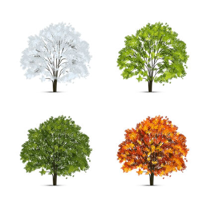 有机真实的树木季节设置与树木的绿色和黄色树叶与雪孤立的图像植物生态木材