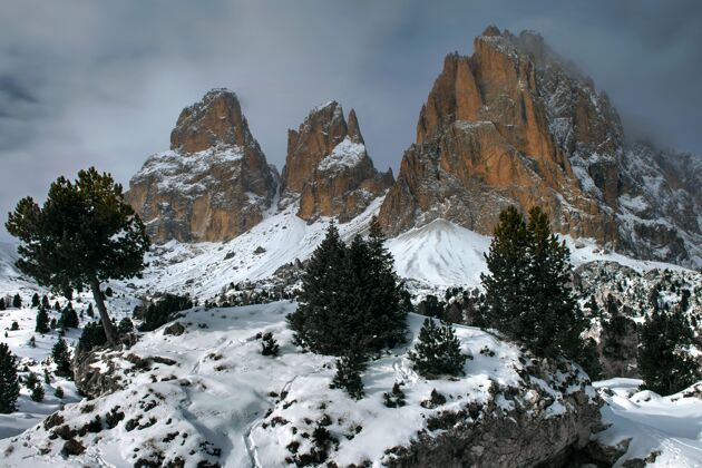 阿尔卑斯山意大利塞拉山口美丽的山峦和树木风景雪自然