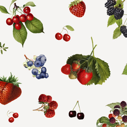 混合浆果在灰色背景上手工绘制的混合浆果蓝莓美味产品