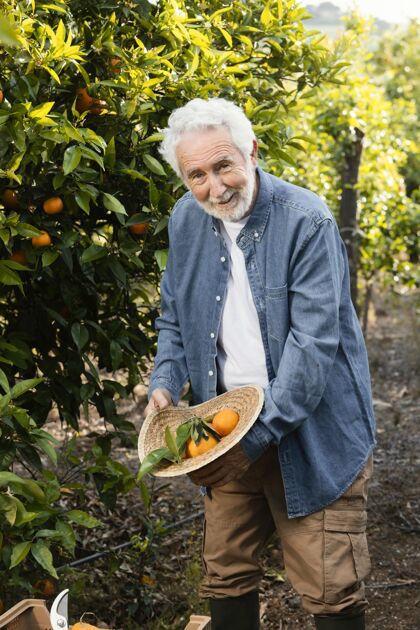 农业站在他橘子树旁的老人收获热带人