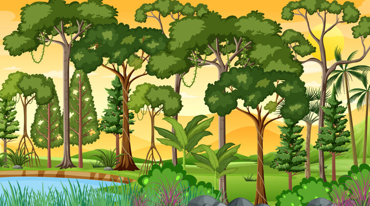 景观日落时分的森林景观 有许多不同的树木日落天气生态系统