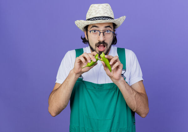 人年轻的留着胡须的园丁 穿着连体衣 戴着帽子 站在蓝色的墙上 看到绿色的辣椒打破了它脸衣服姿势