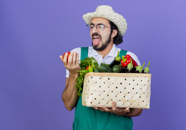 帽子年轻的留着胡须的园丁 穿着连体衣 戴着帽子 手里拿着装满蔬菜的箱子 站在蓝色的墙上 带着厌恶的表情看着西红柿表情人脸