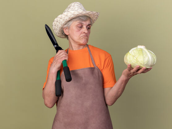 园艺印象深刻的上了年纪的女园丁戴着园艺帽拿着园艺剪刀看着橄榄绿上的卷心菜女花园老人