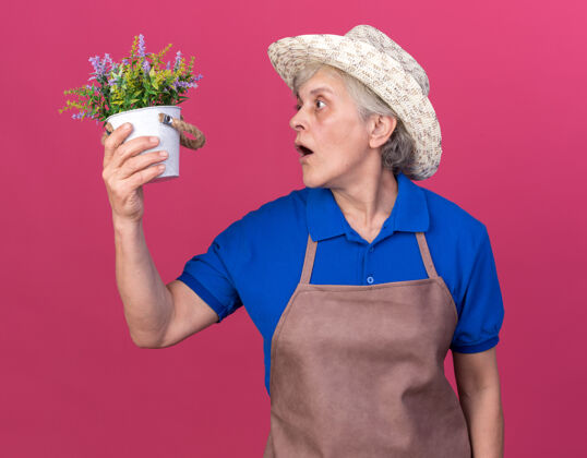 园艺印象深刻的上了年纪的女园丁戴着园艺帽捧着粉色的花盆看着花盆帽子女