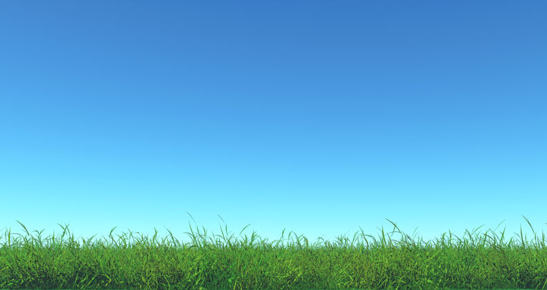 草地绿草蓝天的三维渲染田野草地渲染