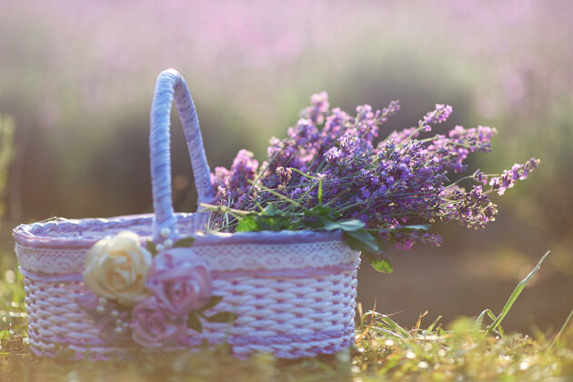 花园薰衣草花在美妙的篮子里草药束乡村
