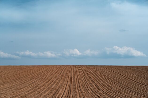 乡村多云的天空下 一片耕地的美丽景色农田玉米农场