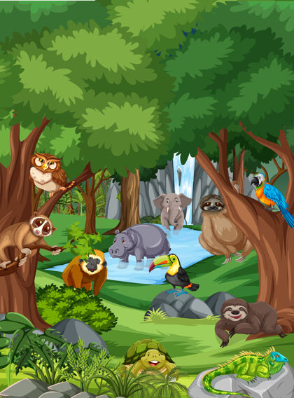 旅行森林里的野生动物卡通人物树懒绿色冒险
