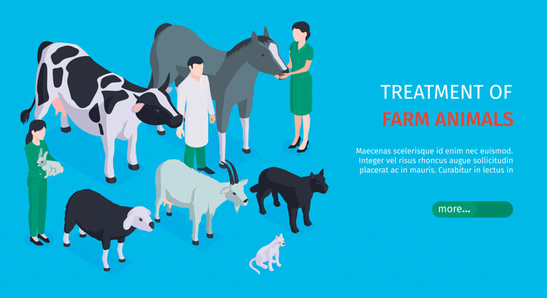 诊所治疗农场动物横幅与兽医谁照顾宠物等距网横幅线小狗医学