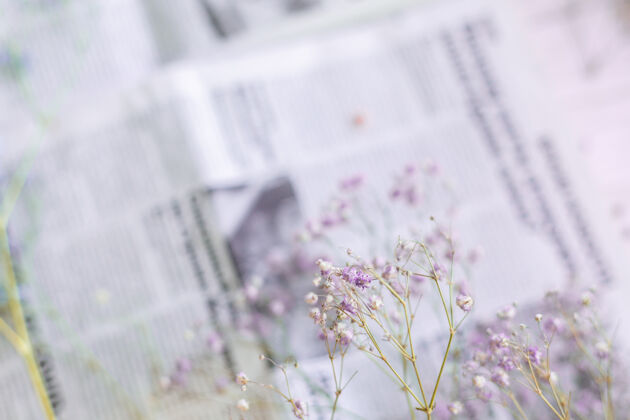 浪漫报纸表面的干花 选择性聚焦 春意盎然植物作物干燥