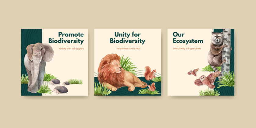 意识横幅模板与生物多样性作为自然野生动物物种或动物保护濒危栖息地热带