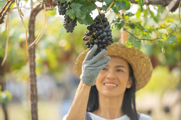 红色快乐的微笑欢快的葡萄园女穿着工作服和农家礼服草帽农业雌性新鲜