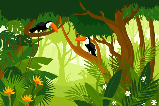 丛林背景平坦的丛林背景与美丽的山核桃鸟多彩背景平面丛林