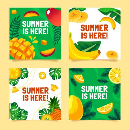 夏季卡片扁平夏季卡片收集收藏卡片收藏季节