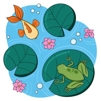 手绘手绘青蛙插图自然野生可爱