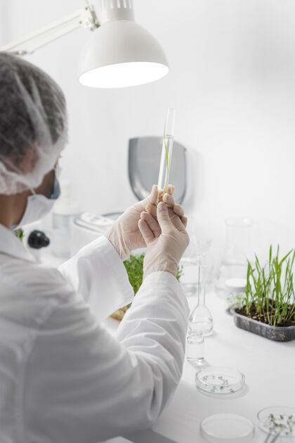实验服侧视女子实验芽苗菜试管女性实验室