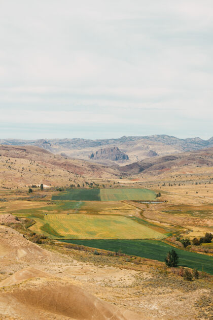 草地从山上可以看到的田野的垂直镜头风景垂直田野