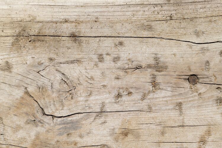 木头特写木材纹理背景墙纸表面木头背景