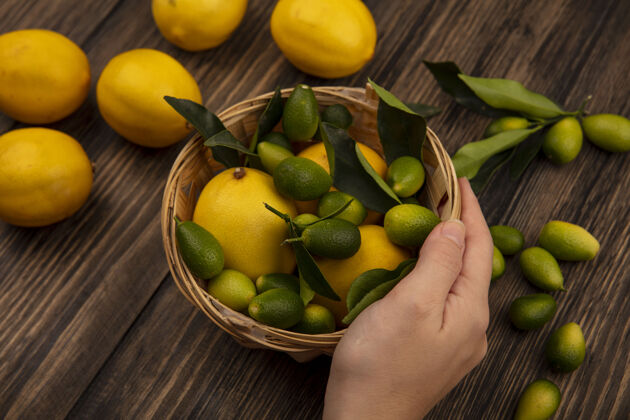柠檬女性手拿着一桶新鲜水果的俯视图 比如柠檬和金盏花 柠檬和金盏花被隔离在木墙上顶部人农业