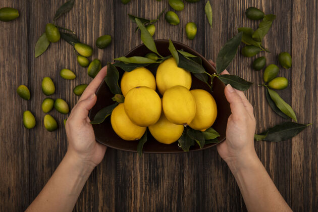 持有俯视图中的女性手拿着一碗柠檬 木墙上孤立着金盏花女性柠檬水果
