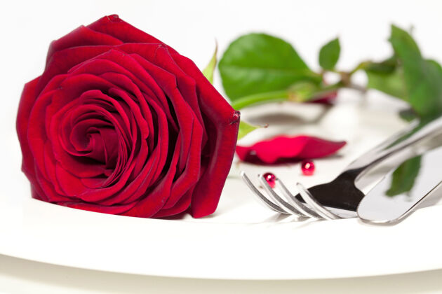 闪亮宏拍摄一个美丽的红玫瑰放在一个白色的盘子旁边的刀叉钢味道锋利