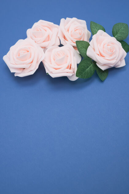 蓝色粉红色玫瑰的特写镜头 在蓝色背景上与复制空间隔离粉色复制空间花束