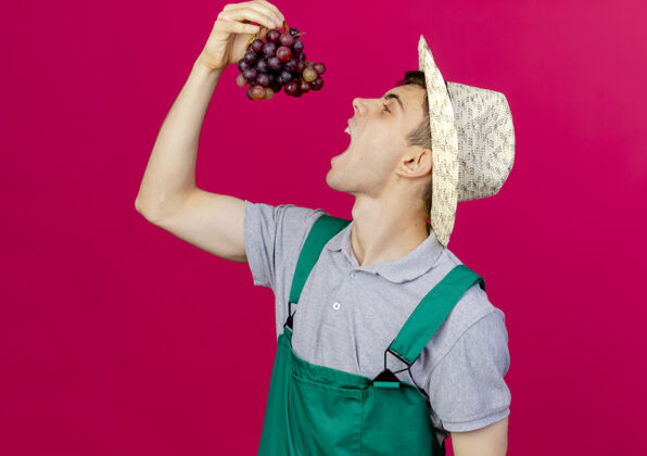 帽子恼怒的年轻男园丁戴着园艺帽站在一边 抱着并假装咬葡萄假装粉色复制