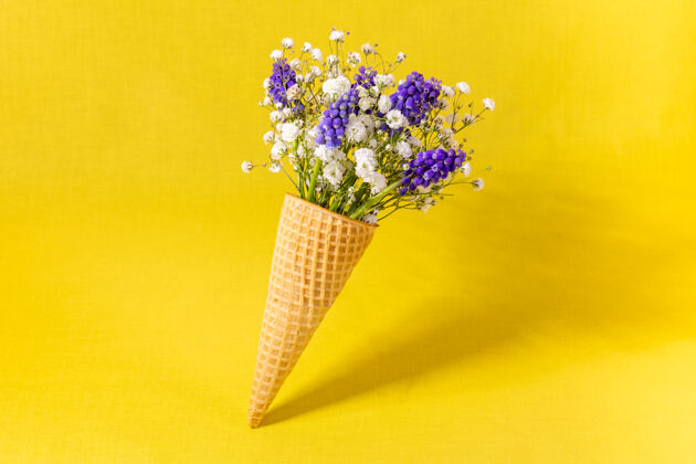 风信子黄色墙上有花的冰淇淋筒侧视图 复制空间 春花概念白天花花