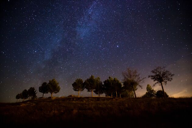星光美丽的银河照片 在一个晚上只有几棵树的小山上梦想灯光闪光