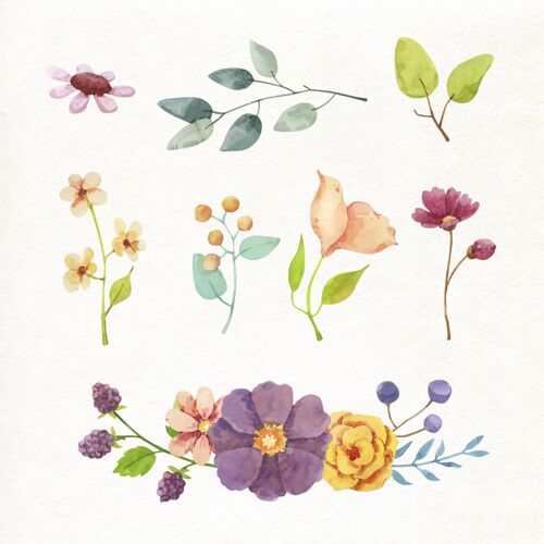 水彩手绘水彩花卉收藏收藏植物套装