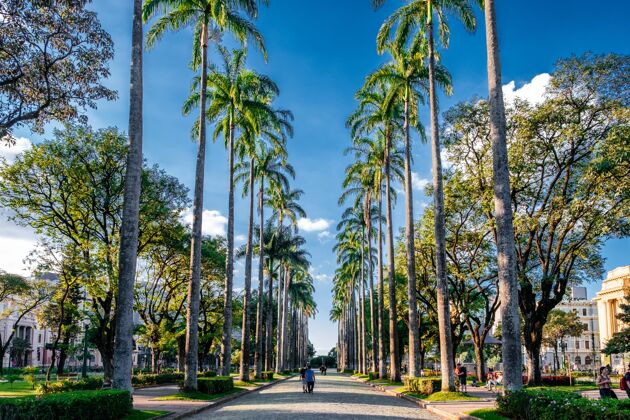人行道美丽的人行道在高大的棕榈树下阳光灿烂的天空在巴西明亮木头风景