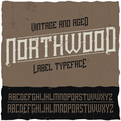 Script名为northwood的复古标签字体MarkAmpersandSerif