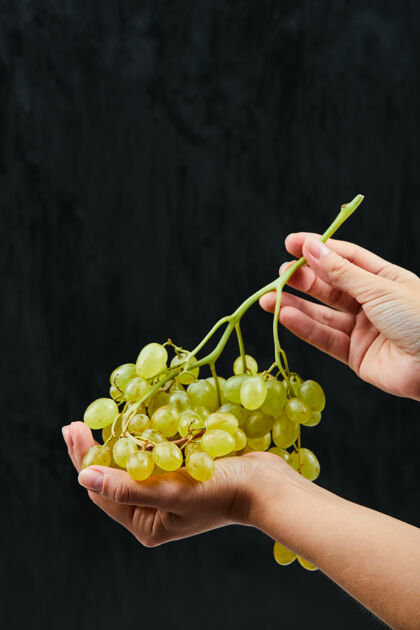葡萄一堆白葡萄在手上的黑色背景高品质的照片串水果自然