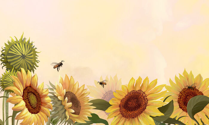 复制空间黄色背景上的手绘向日葵春天边框花卉