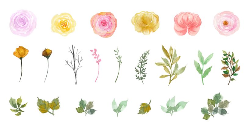 开花一套华丽的个人水彩花叶收藏五颜六色颜色安排
