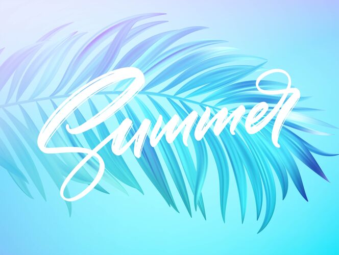 季节夏季字母设计在一个彩色的蓝色和紫色棕榈树叶的背景线字母海报