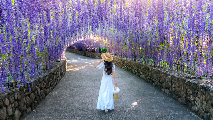 景观在泰国清莱紫花隧道散步的美丽女孩走道树大厅