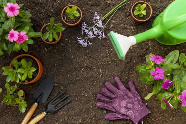 园艺铲植物园艺工具靠近盆栽植物园艺工具特写