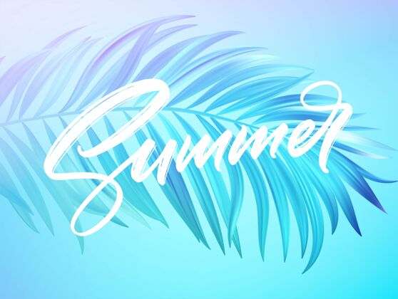 季节夏季字母设计在一个彩色的蓝色和紫色棕榈树叶的背景线字母海报
