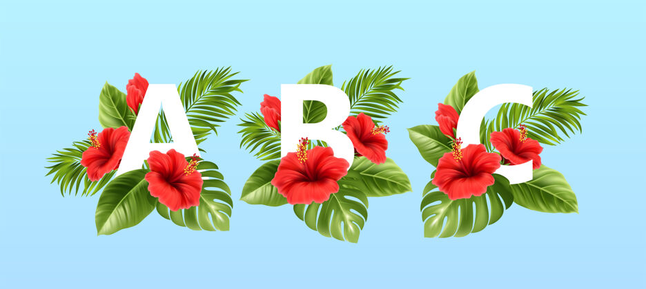芦荟被夏天的热带树叶和红色的芙蓉花包围的字母热带雨林花字体