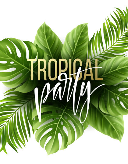文字夏季热带树叶与异国情调的棕榈叶背景党传单模板手写植物学海滩