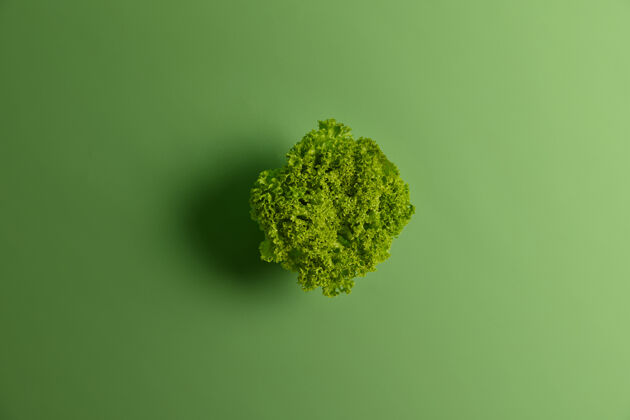 有机新鲜的有机莴苣沙拉叶 绿色 有活力的背景选择重点 俯视和复制空间适当的健康饮食营养和食物概念素食和蔬菜小吃生气勃勃沙拉
