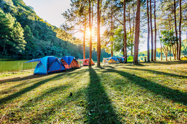 北方在泰国梅洪森的庞公湖 阳光普照下的松树下露营帐篷休闲自然森林