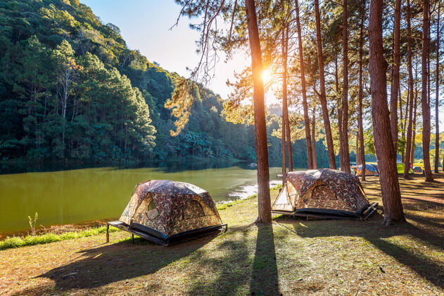 日落在泰国梅洪森的庞公湖 阳光普照下的松树下露营帐篷日出松树休闲