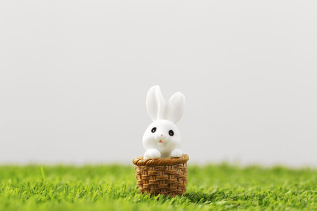 鸡蛋草地上的复活节兔子兔子兔子季节