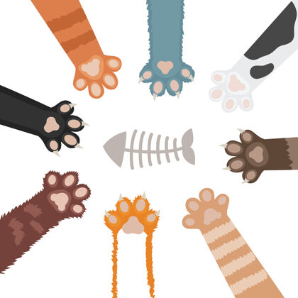 集猫爪卡通插画集家畜脚哺乳动物爪猫